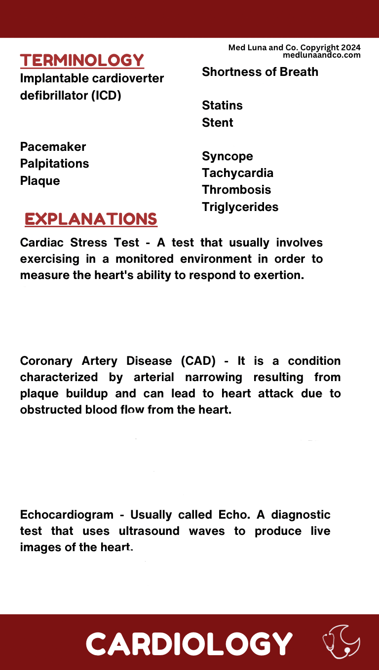 CARDIOLOGY MEDICAL SPANISH BADGE